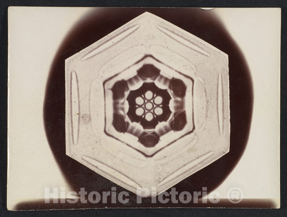 Photo Print : Wilson Alwyn Bentley - Snow Crystal - 408533 : Vintage Wall Art