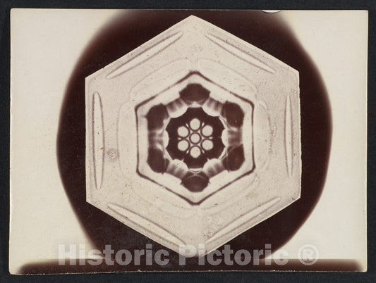 Photo Print : Wilson Alwyn Bentley - Snow Crystal - 408533 : Vintage Wall Art