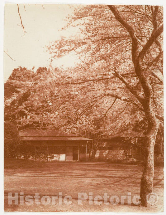 Photo Print : Adolf de Meyer - Cherry Tree with House in Background : Vintage Wall Art