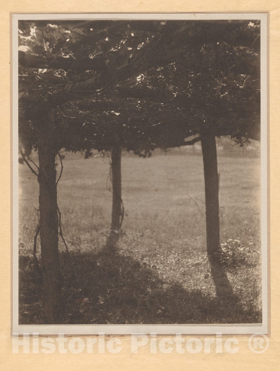 Photo Print : Clarence H. White - The Arbor : Vintage Wall Art
