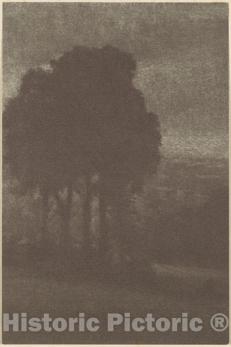 Photo Print : Frederick H. Evans - Trees : Vintage Wall Art