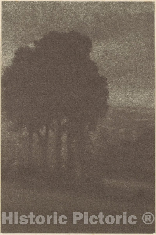 Photo Print : Frederick H. Evans - Trees : Vintage Wall Art