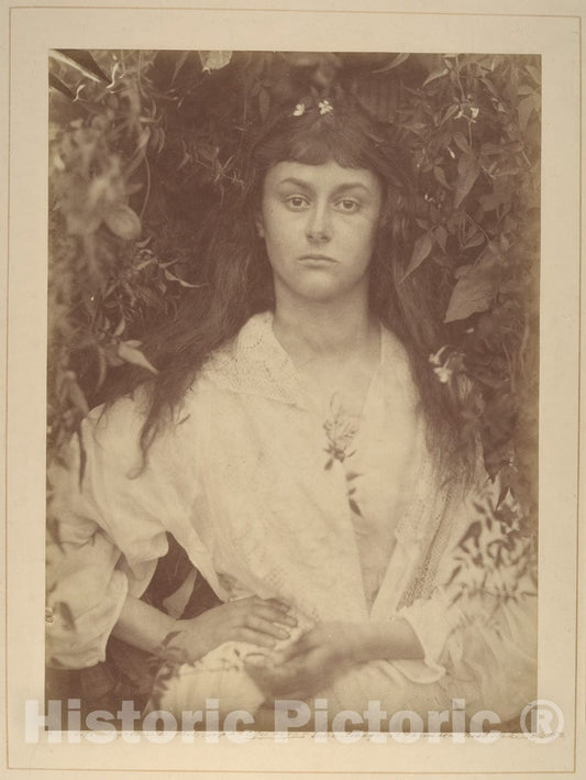 Photo Print : Julia Margaret Cameron - Pomona : Vintage Wall Art