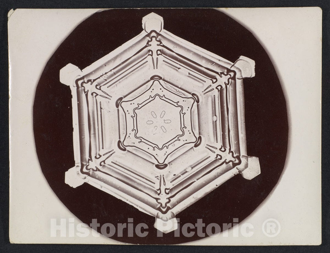 Photo Print : Wilson Alwyn Bentley - Snow Crystal 17 : Vintage Wall Art