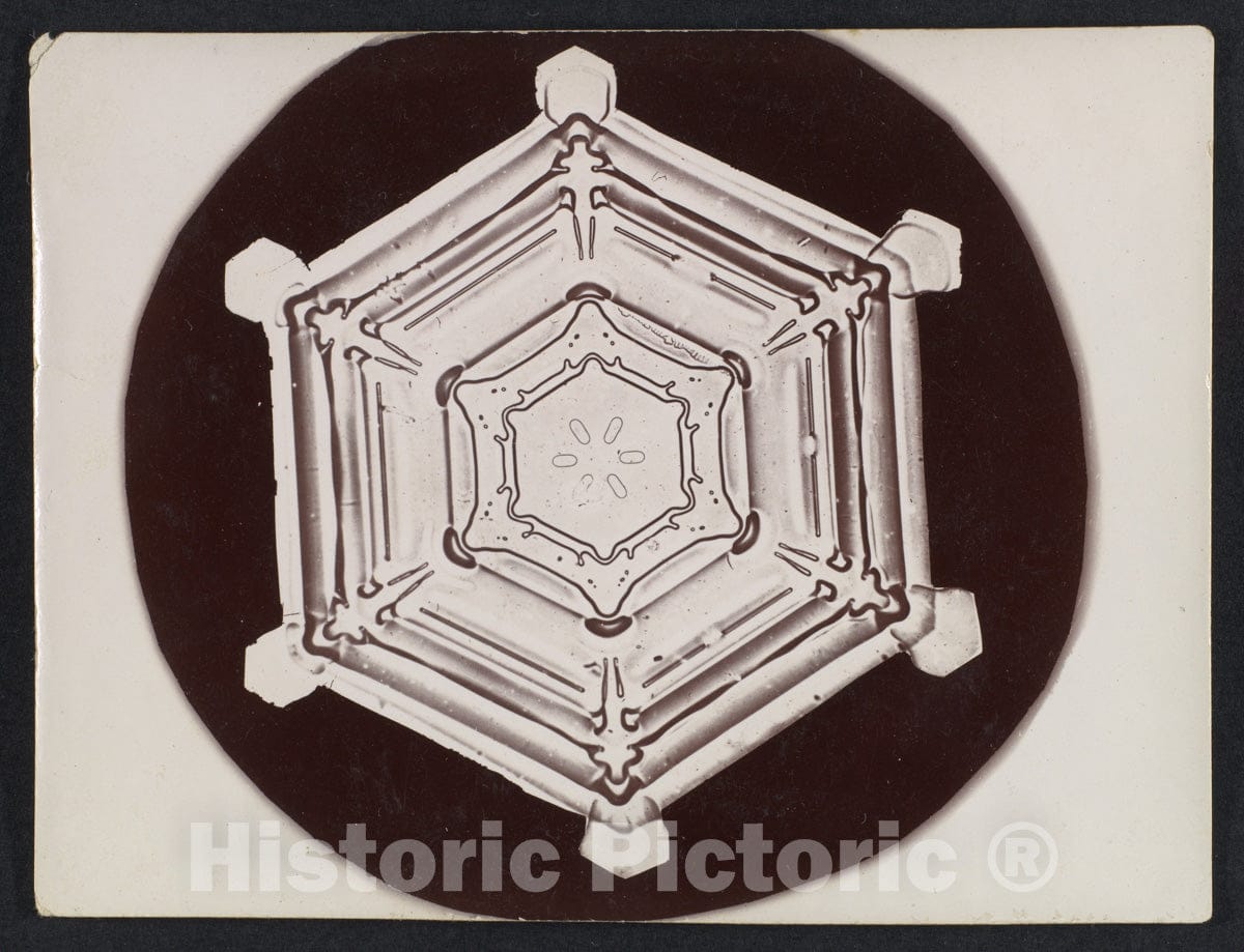 Photo Print : Wilson Alwyn Bentley - Snow Crystal 17 : Vintage Wall Art