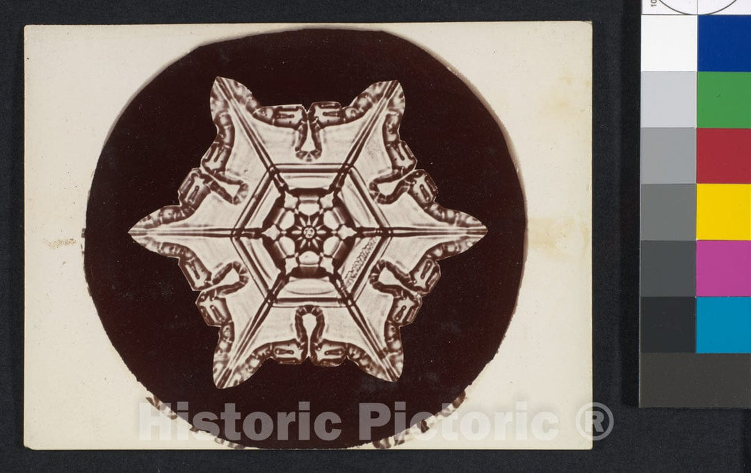 Photo Print : Wilson Alwyn Bentley - Snow Crystal - 408646 : Vintage Wall Art