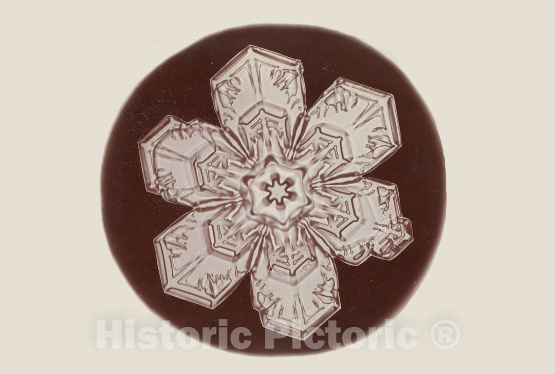 Photo Print : Wilson Alwyn Bentley - Snow Crystal - 408647 : Vintage Wall Art