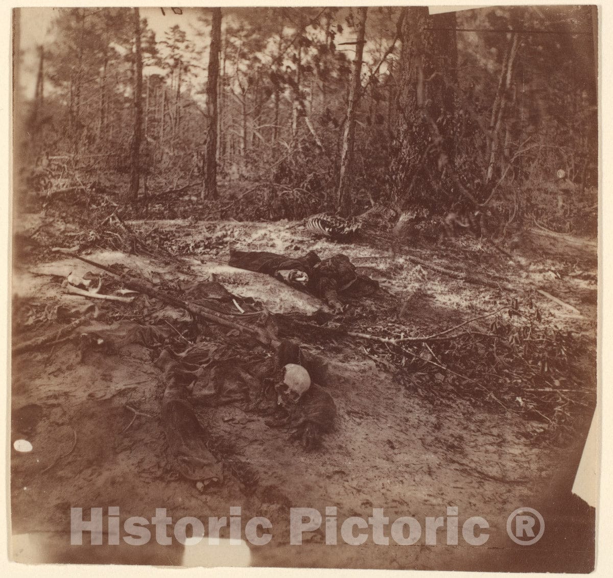 Photo Print : The Wilderness Battlefield 8 : Vintage Wall Art