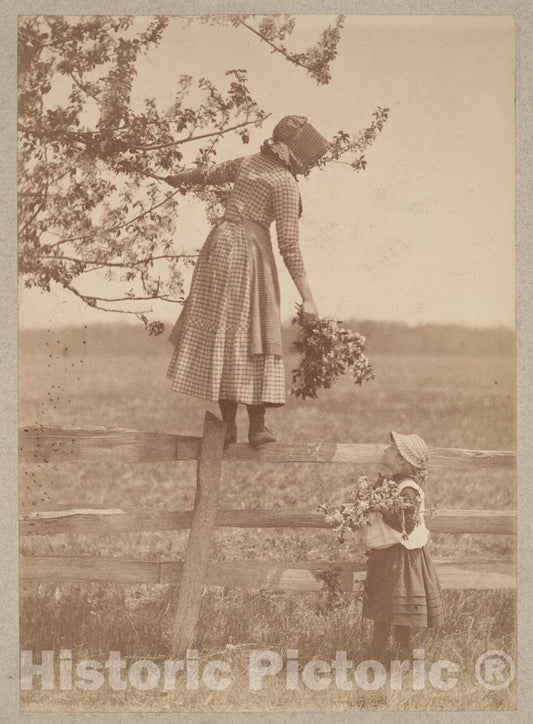 Photo Print : Louis Comfort Tiffany - Apple Blossoms : Vintage Wall Art
