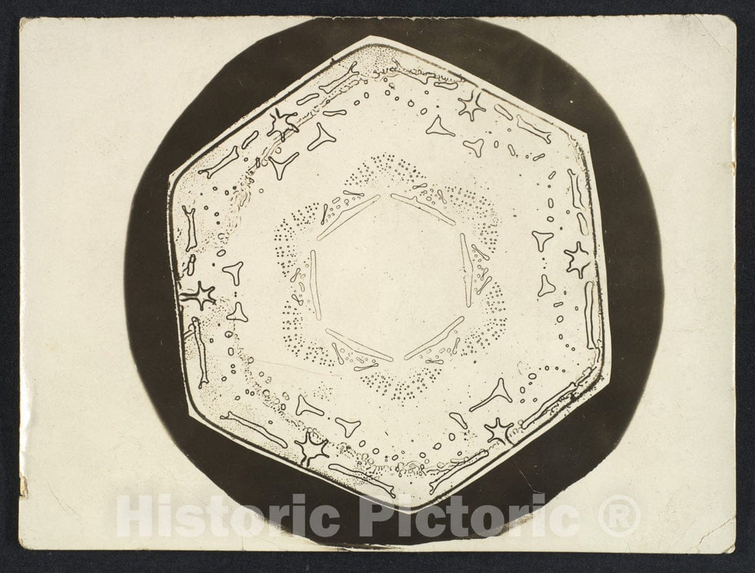 Photo Print : Wilson Alwyn Bentley - Snow Crystal - 408729 : Vintage Wall Art