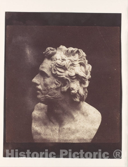 Photo Print : William Henry Fox Talbot - Bust of Patroclus : Vintage Wall Art