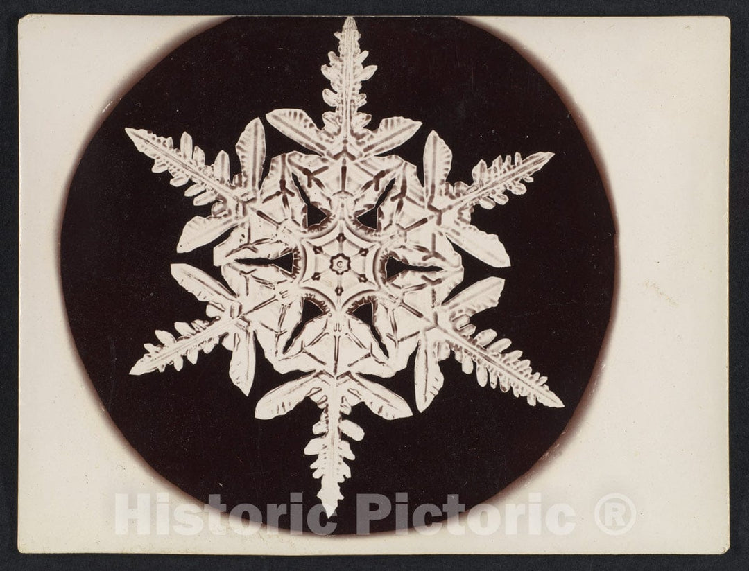 Photo Print : Wilson Alwyn Bentley - Snow Crystal 18 : Vintage Wall Art