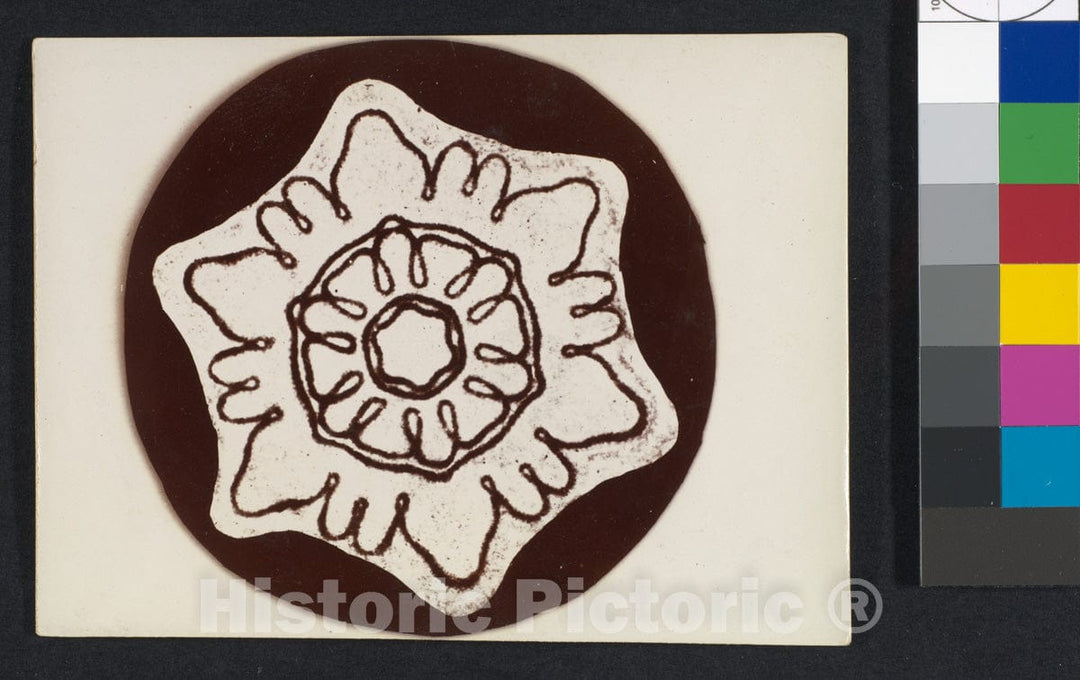 Photo Print : Wilson Alwyn Bentley - Snow Crystal - 408809 : Vintage Wall Art