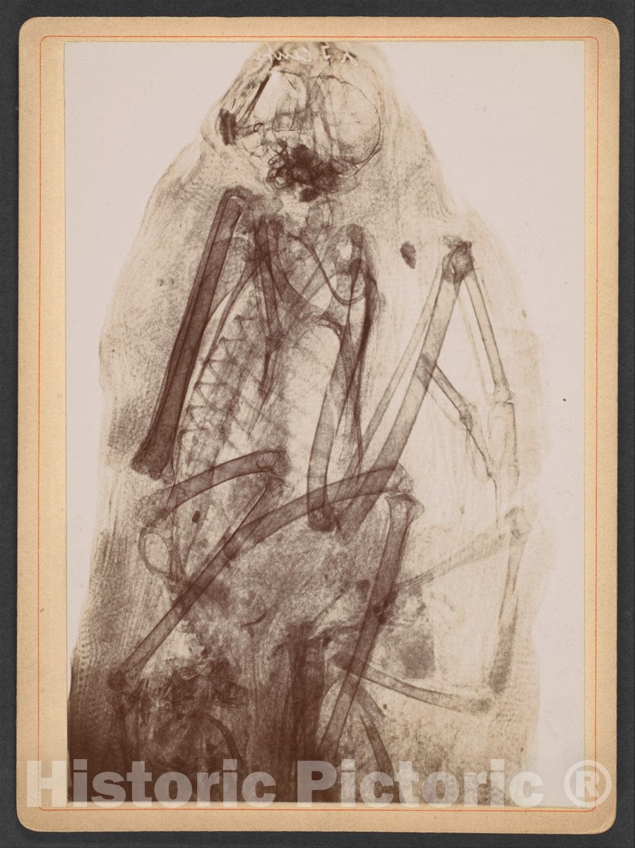 Dragable Image