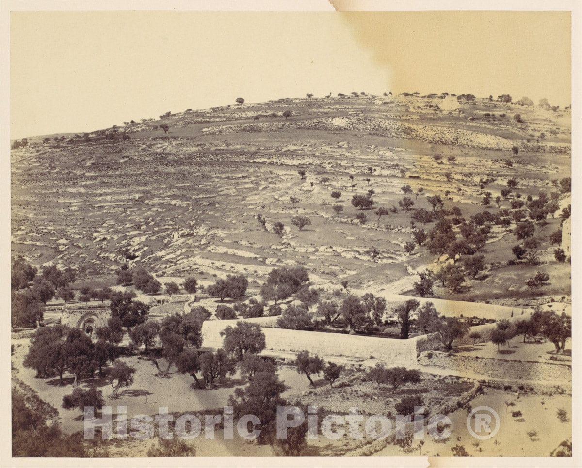 Photo Print : John Anthony - Garden of Gethsemane and The Tomb of The Virgin, Jerusalem : Vintage Wall Art