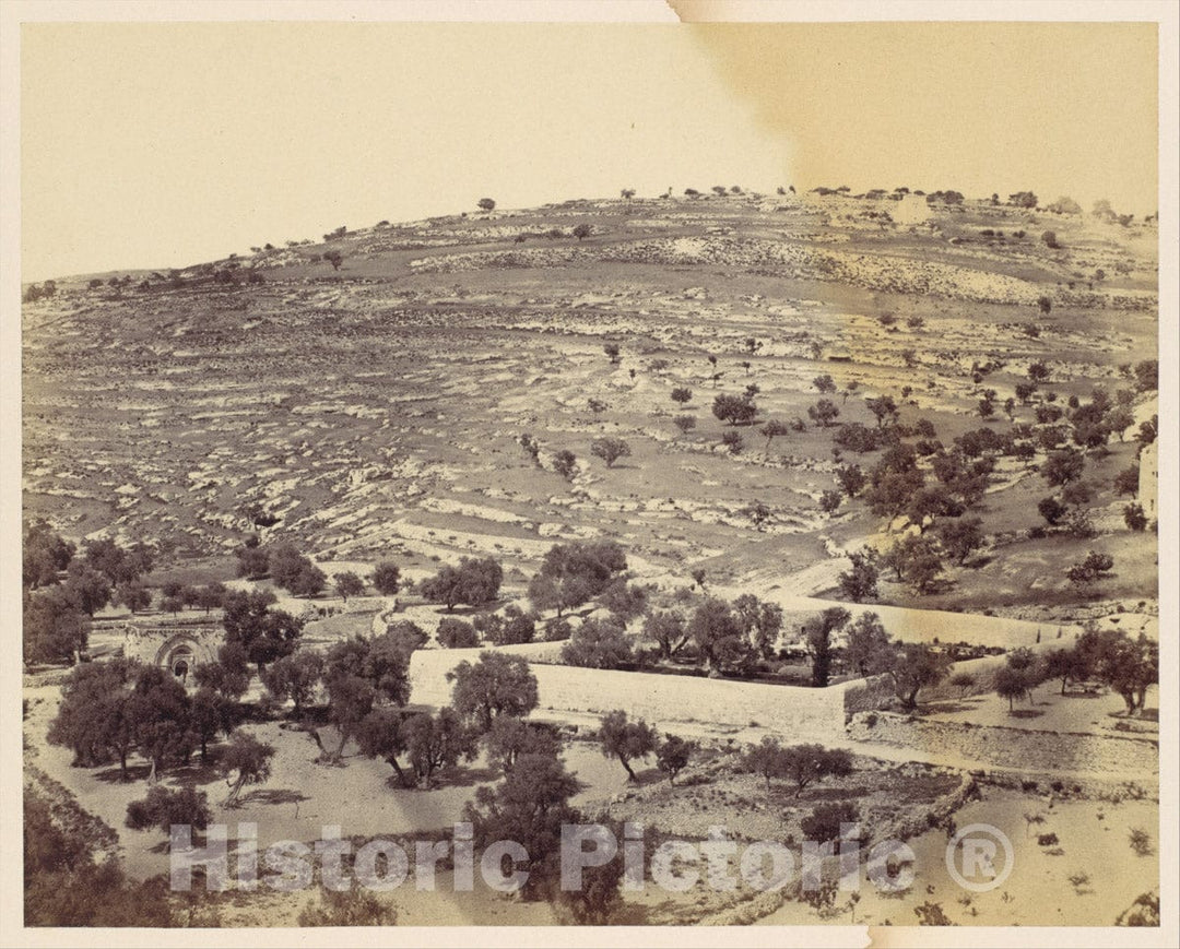 Photo Print : John Anthony - Garden of Gethsemane and The Tomb of The Virgin, Jerusalem : Vintage Wall Art