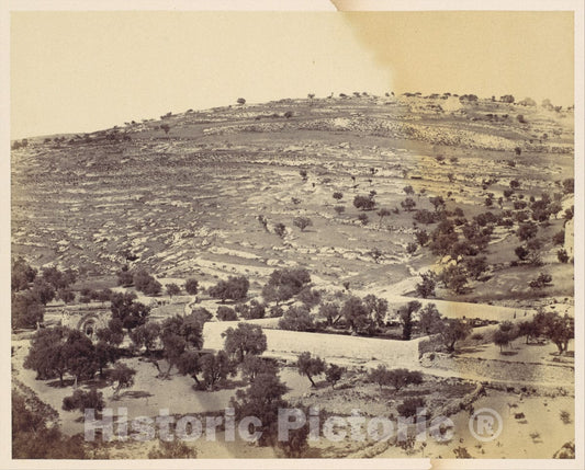 Photo Print : John Anthony - Garden of Gethsemane and The Tomb of The Virgin, Jerusalem : Vintage Wall Art