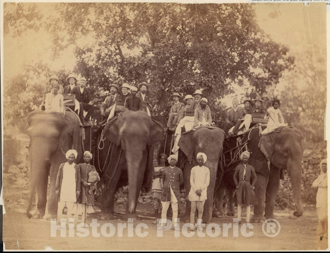 Photo Print : Four Elephants with Western Travellers and Attendants, Jaipur, India : Vintage Wall Art