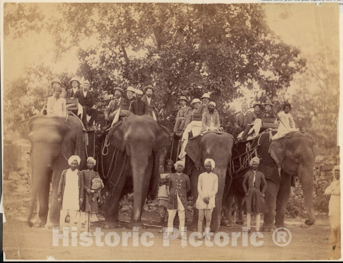 Photo Print : Four Elephants with Western Travellers and Attendants, Jaipur, India : Vintage Wall Art