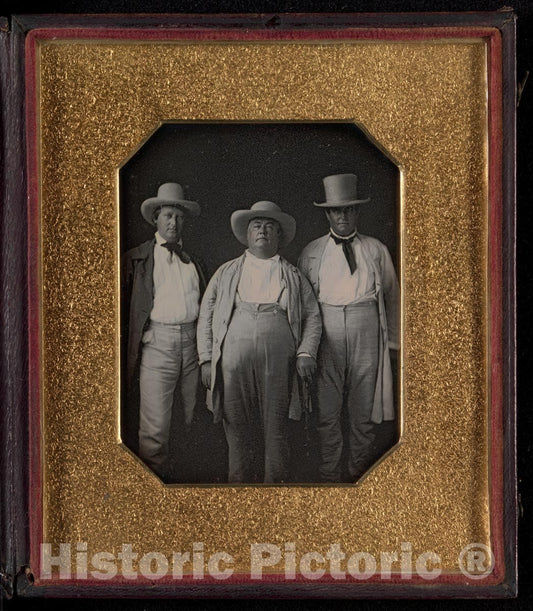 Photo Print : Three Planters : Vintage Wall Art