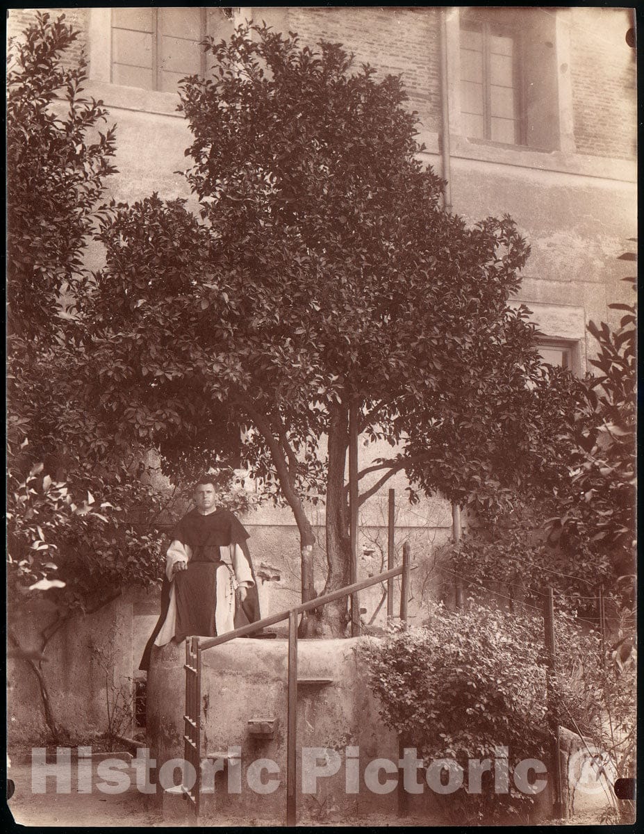 Photo Print : St. Dominic's Orange Tree on The Aventine : Vintage Wall Art