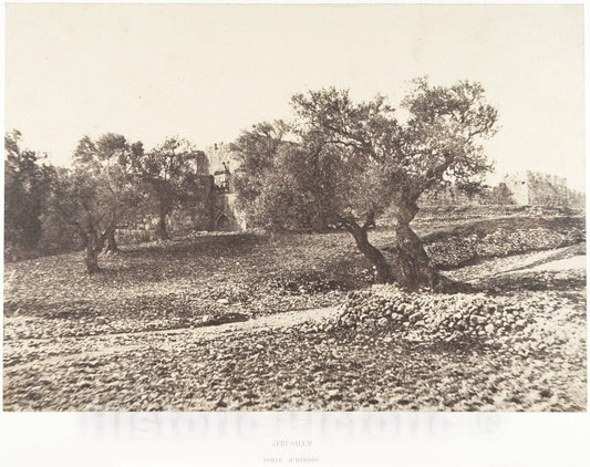 Photo Print : Auguste Salzmann - Jérusalem, Porte d'Hérode : Vintage Wall Art