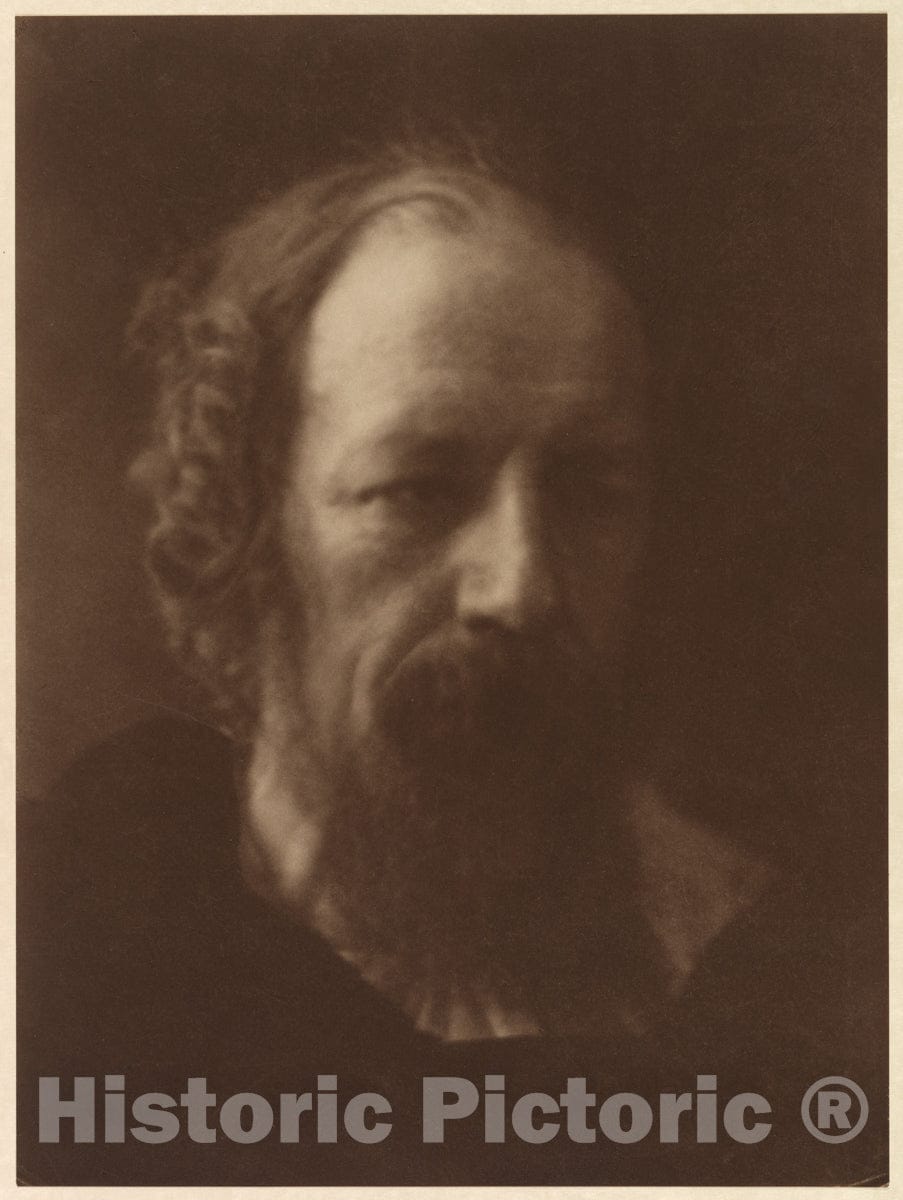 Photo Print : Julia Margaret Cameron - Alfred, Lord Tennyson - 409095 : Vintage Wall Art