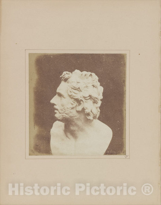 Art Print : William Henry Fox Talbot - Bust of Patroclus 1 : Vintage Wall Art