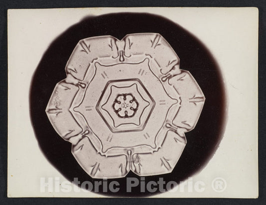 Photo Print : Wilson Alwyn Bentley - Snow Crystal 19 : Vintage Wall Art