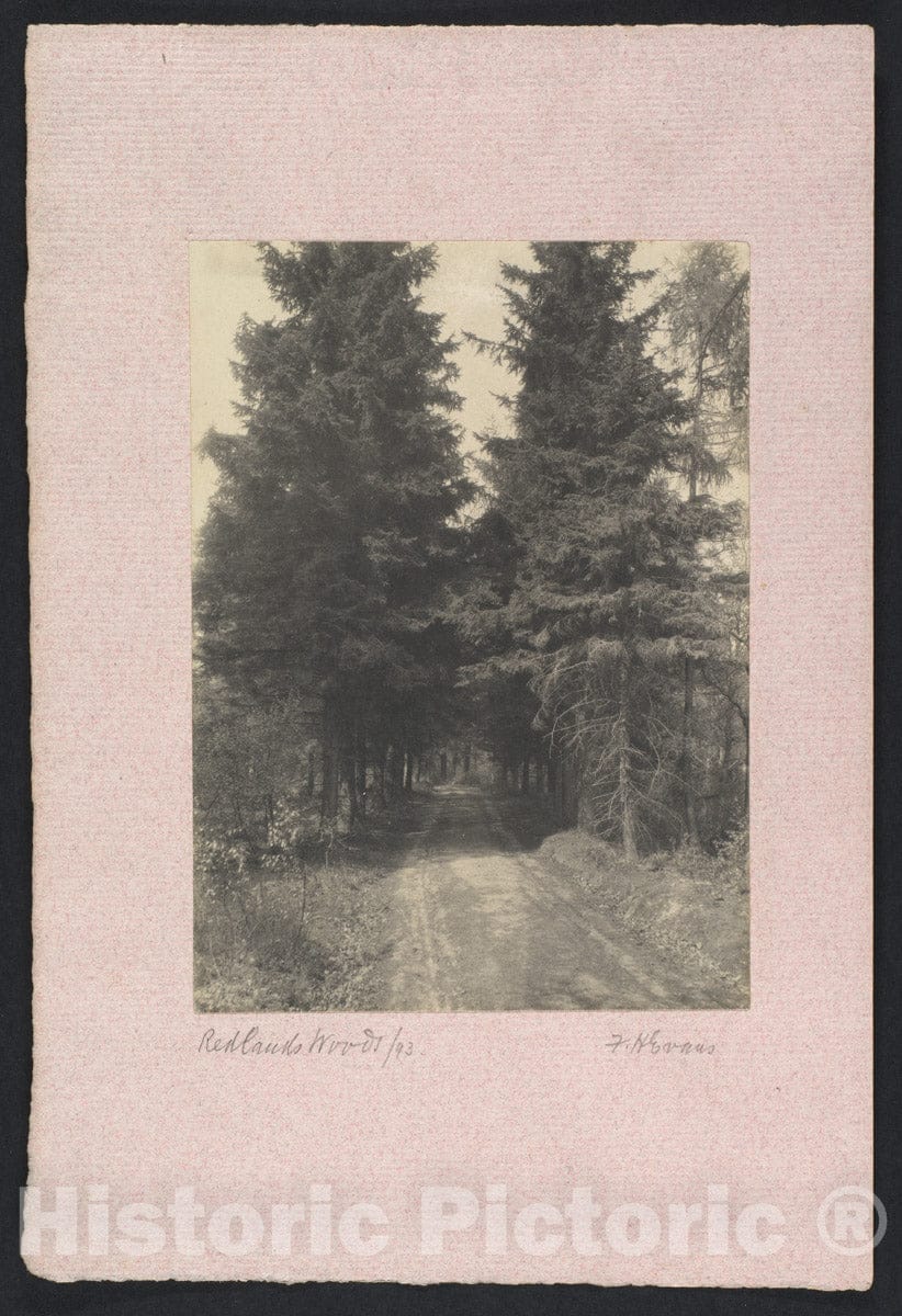Photo Print : Frederick H. Evans - Redlands Woods : Vintage Wall Art