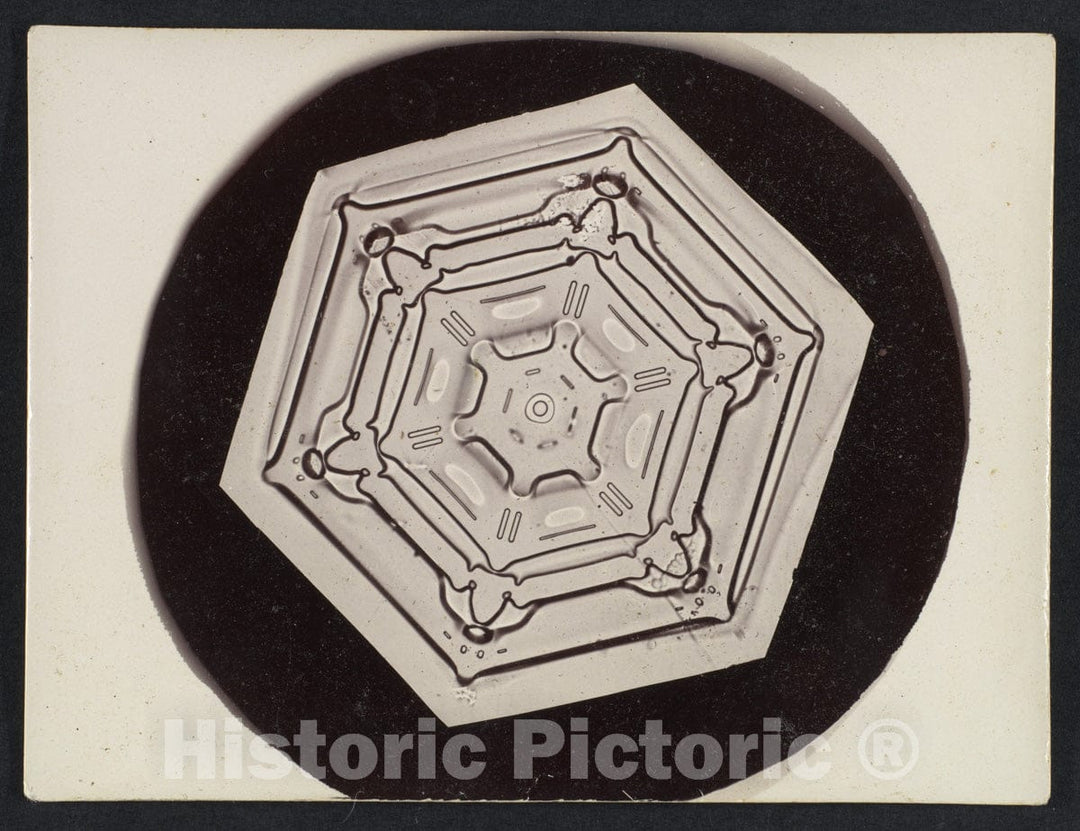 Photo Print : Wilson Alwyn Bentley - Snow Crystal - 409198 : Vintage Wall Art