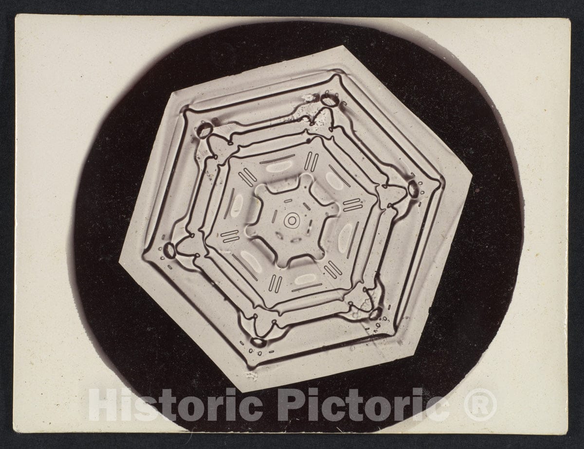 Photo Print : Wilson Alwyn Bentley - Snow Crystal - 409198 : Vintage Wall Art