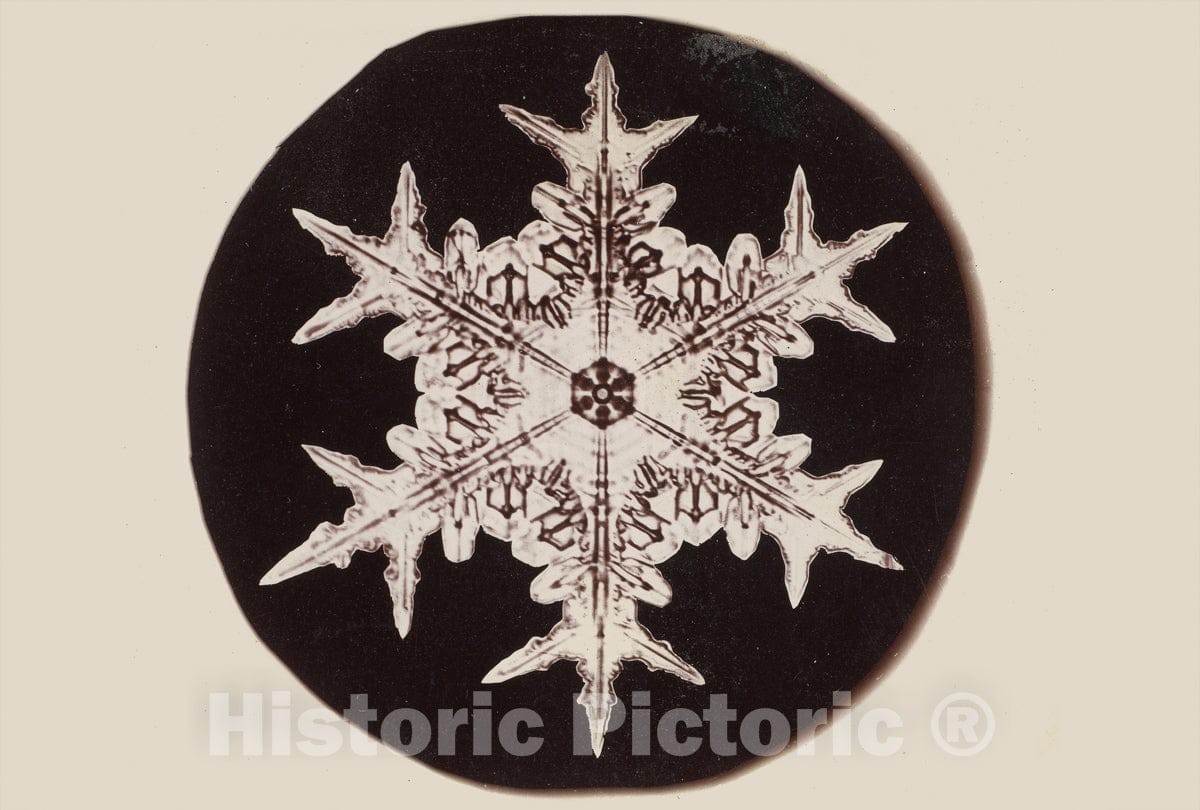 Photo Print : Wilson Alwyn Bentley - Snow Crystal - 409199 : Vintage Wall Art