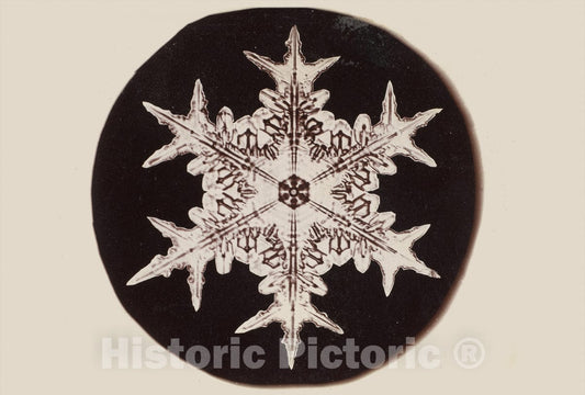 Photo Print : Wilson Alwyn Bentley - Snow Crystal - 409199 : Vintage Wall Art