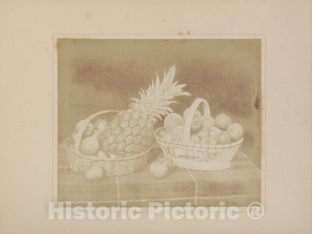 Art Print : William Henry Fox Talbot - A Fruit Piece : Vintage Wall Art