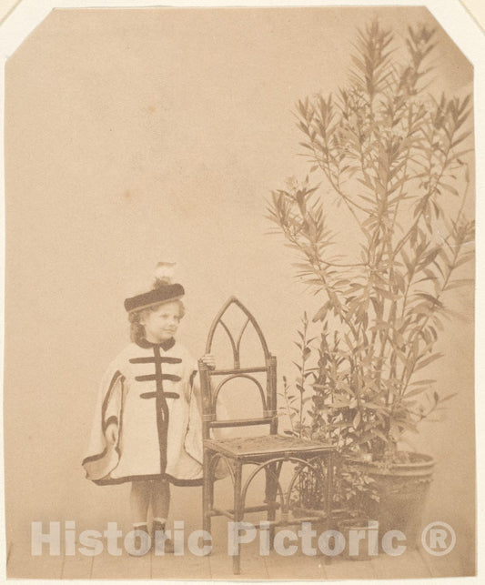 Photo Print : Pierre-Louis Pierson - La ?aurier Rose : Vintage Wall Art