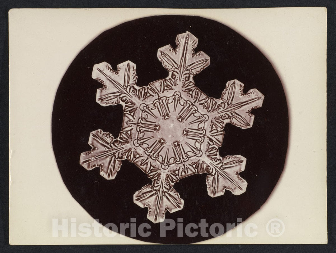 Photo Print : Wilson Alwyn Bentley - Snow Crystal - 409275 : Vintage Wall Art