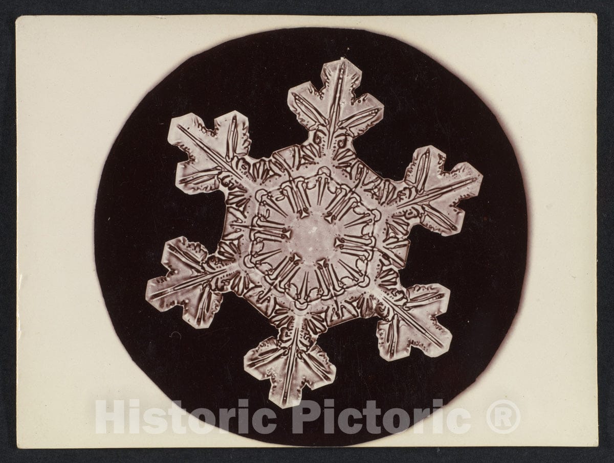 Photo Print : Wilson Alwyn Bentley - Snow Crystal - 409275 : Vintage Wall Art