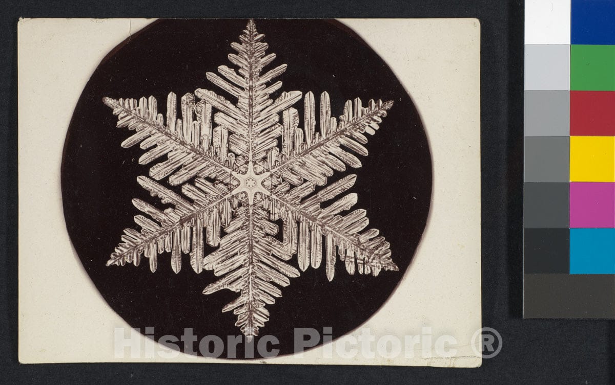 Photo Print : Wilson Alwyn Bentley - Snow Crystal - 409295 : Vintage Wall Art