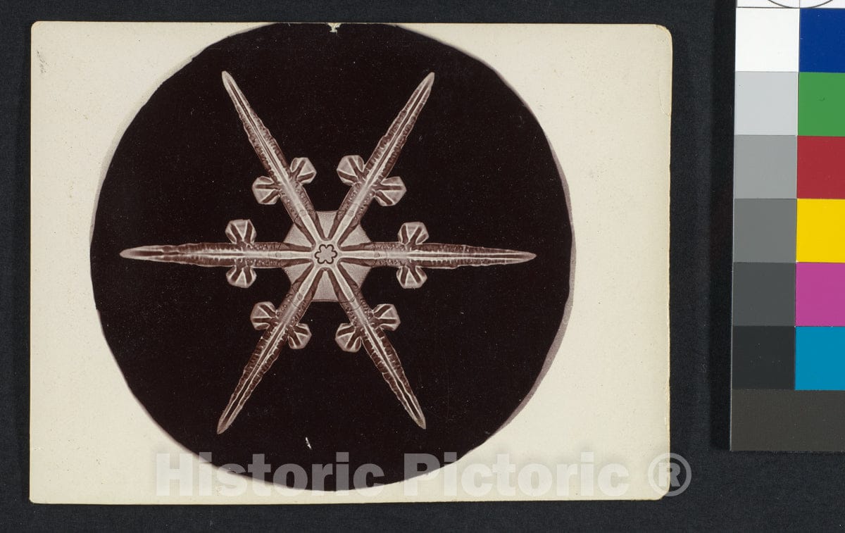 Photo Print : Wilson Alwyn Bentley - Snow Crystal - 409367 : Vintage Wall Art