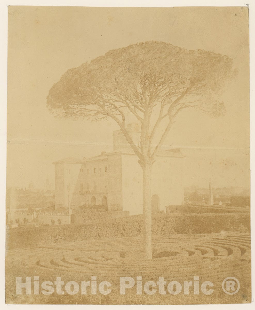 Photo Print : Giacomo Caneva - Tree in Formal Garden Outside Palazzo : Vintage Wall Art