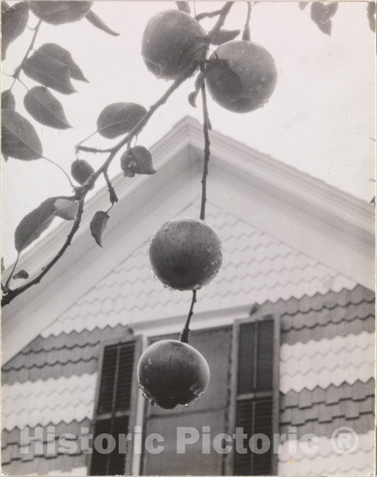 Photo Print : Alfred Stieglitz - Gable and Apples : Vintage Wall Art
