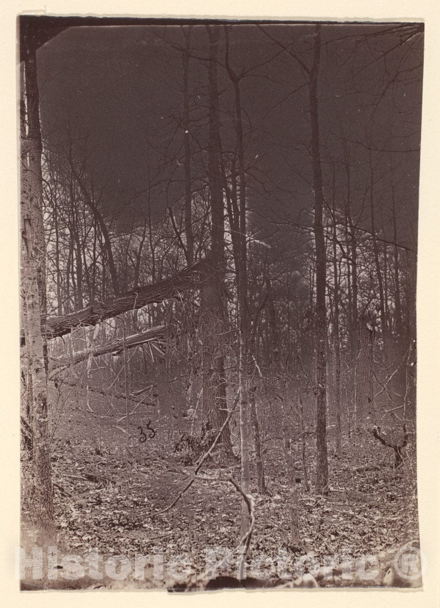 Photo Print : The Wilderness Battlefield - 409386 : Vintage Wall Art