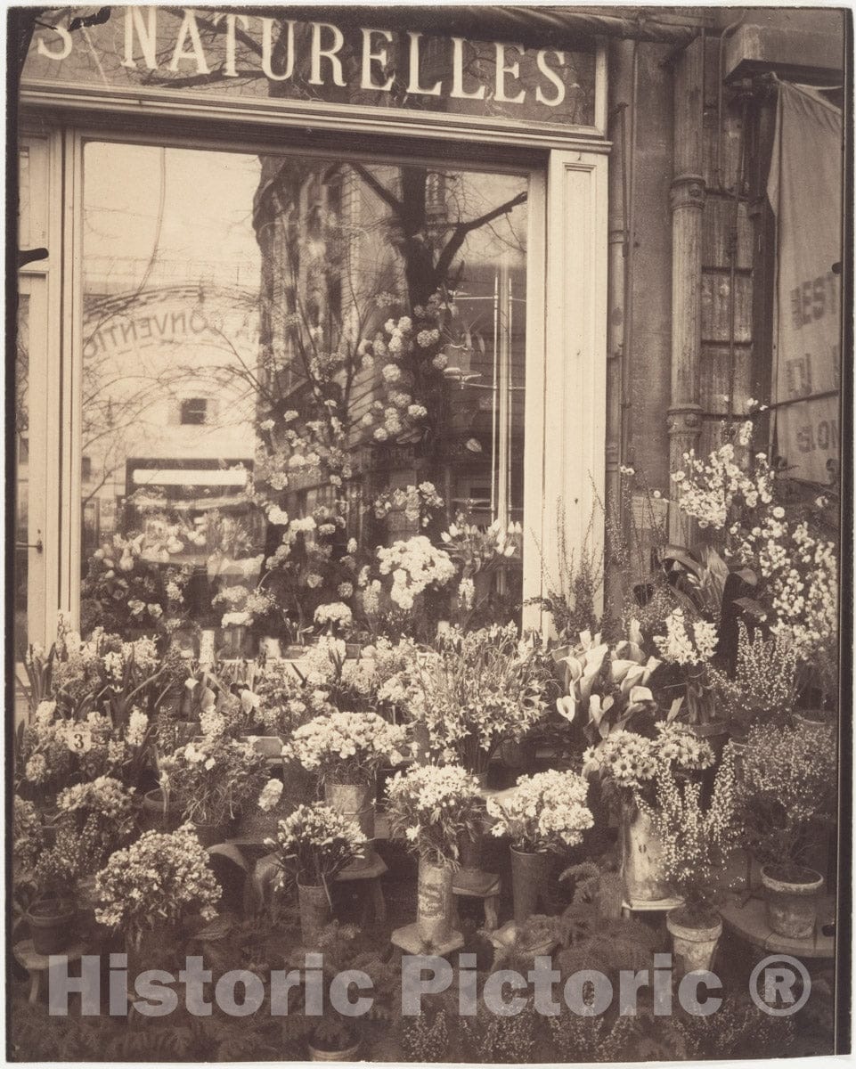Photo Print : Eugène Atget - Boutique Fleurs : Vintage Wall Art