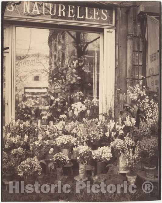 Photo Print : Eugène Atget - Boutique Fleurs : Vintage Wall Art