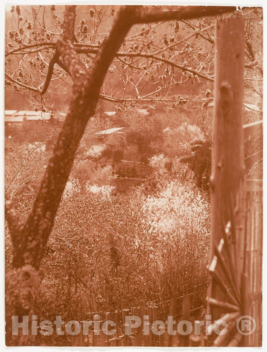 Photo Print : Adolf de Meyer - View from Hillside Through Trees Towards a Valley : Vintage Wall Art