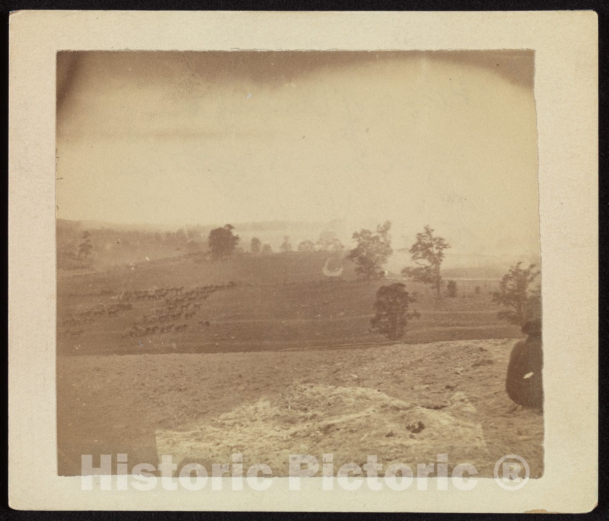 Photo Print : Alexander Gardner - Antietam Battlefield : Vintage Wall Art