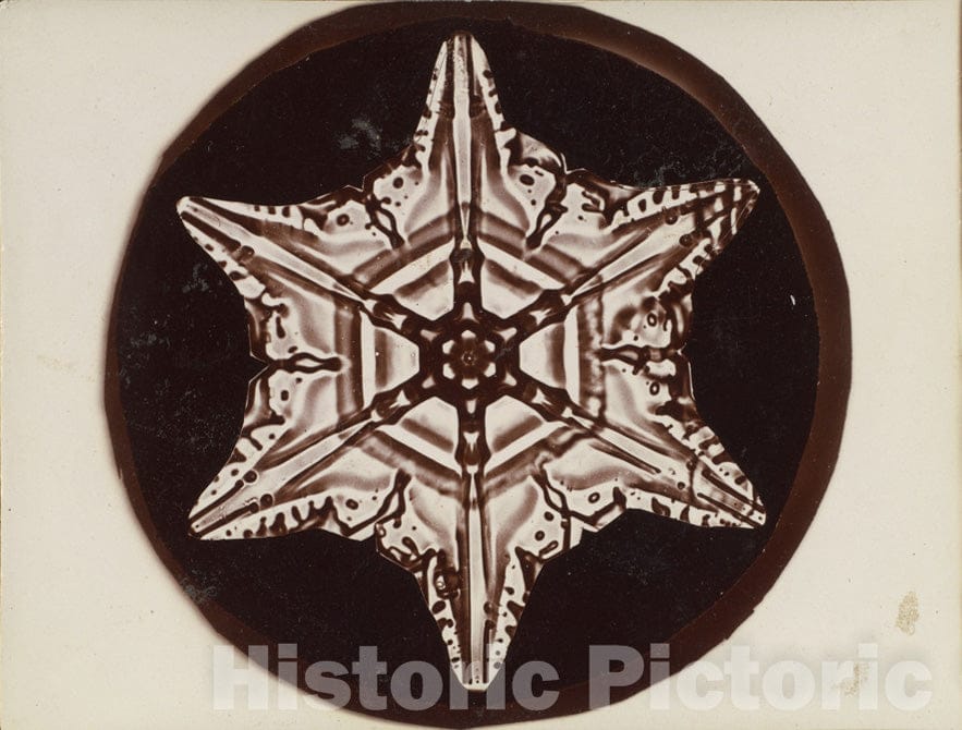 Photo Print : Wilson Alwyn Bentley - Snow Crystal - 409500 : Vintage Wall Art