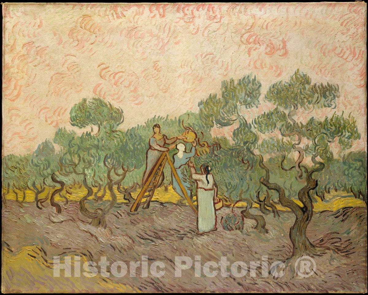 Art Print : Vincent Van Gogh - Women Picking Olives : Vintage Wall Art
