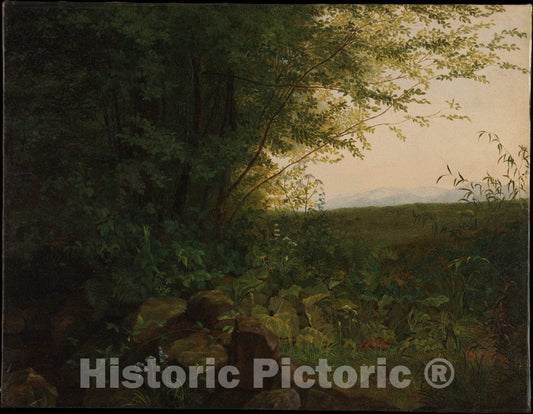 Art Print : August Heinrich - at The Edge of The Forest : Vintage Wall Art